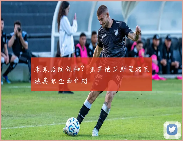 未来后防领袖？克罗地亚新星格瓦迪奥尔全面介绍